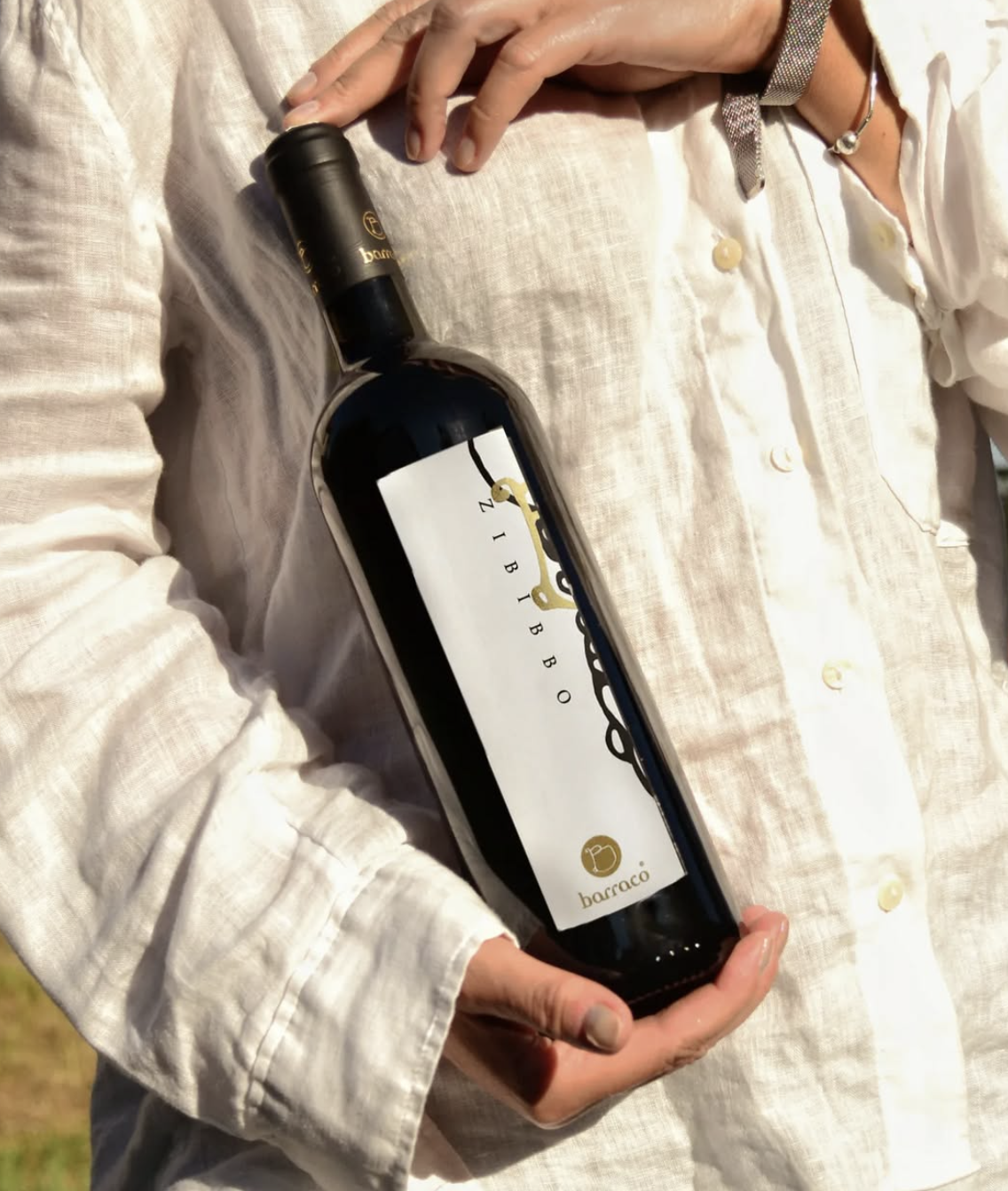 Degustazione Classica in Vigna e Cantina